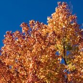 October